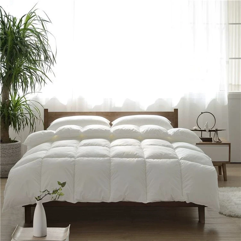 Double-Person High-Star Hotel Duvet Air-Conditioned Quilt Thickened Warm Blanket for Winter Spring And Autumn Comforter Velvet