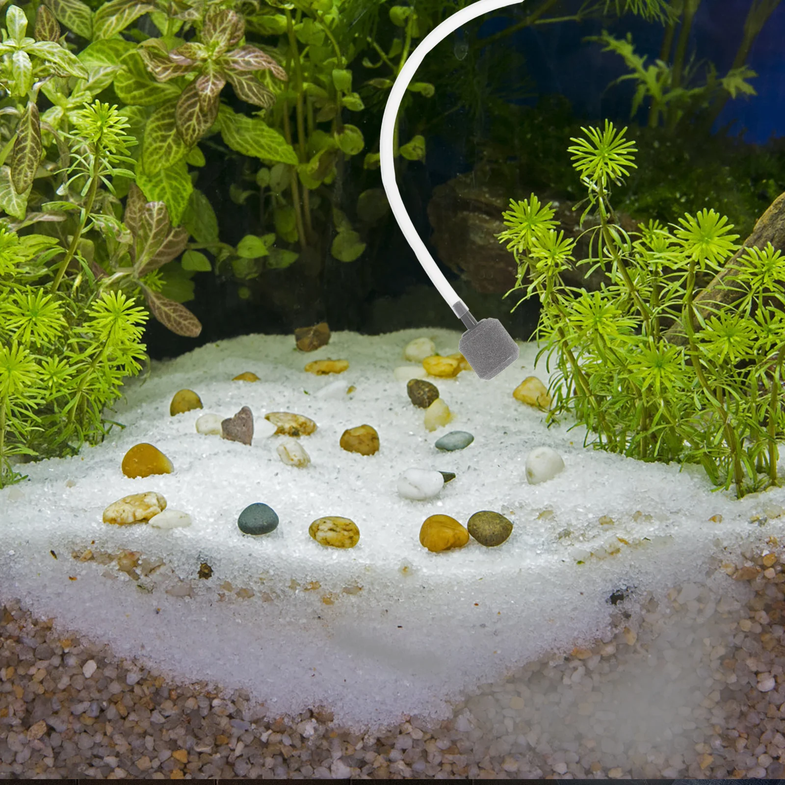 

Portable Silent USB Mini Aquarium Air Pump Oxygen Pump Quiet USB Charging Fish Tank Bubbler Accessories Fish Tank Bubbler