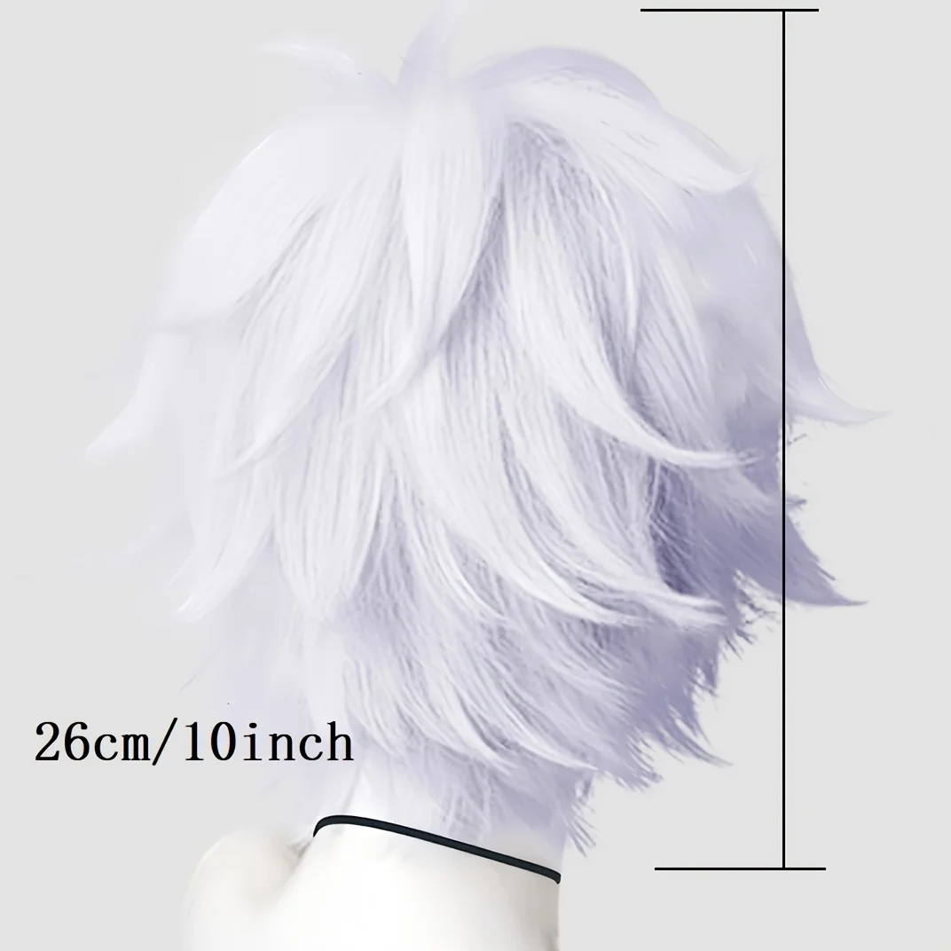 Peluca de Cosplay de Anime sintética recta corta de color morado plateado, peluca de Cosplay para fiesta, Festival de Música, Carnaval, exposición de cómic