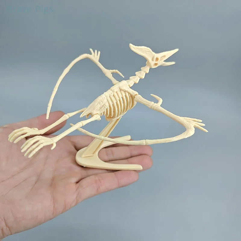 1 Set Kid Toy DIY Assembly Jurassic Dinosaur Fossil Skeleton Mosasaurus Tyrannosaurus Action Figure Collection Creative Model