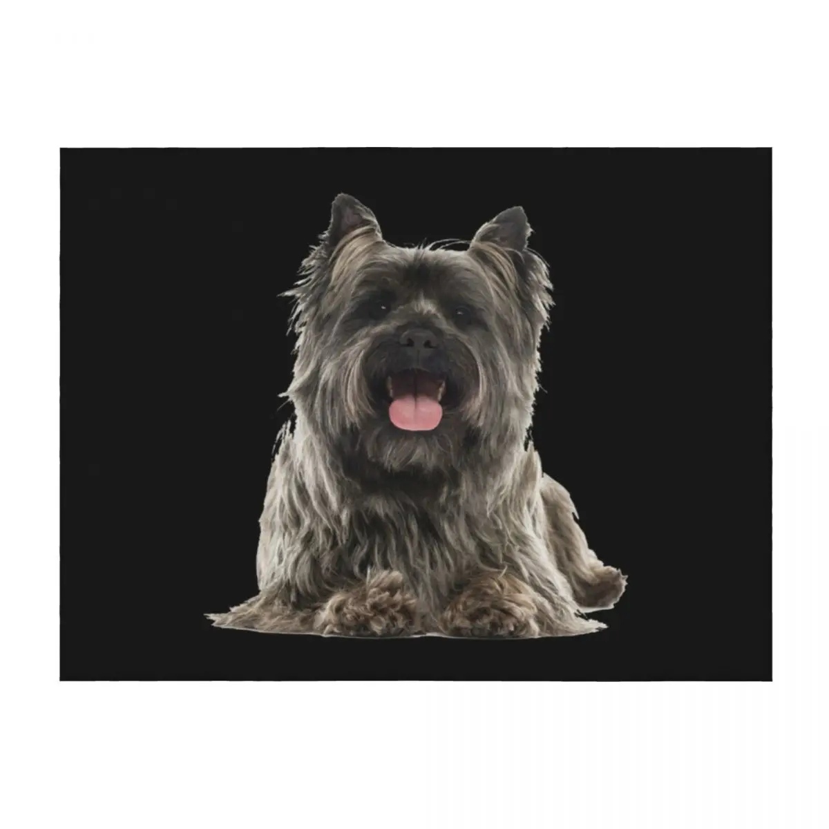 

Cairn Terrier Throw Blanket Flannel Fabric Soft Beds funny gift Blankets
