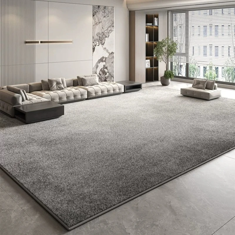 Minimalist Art Carpets for Living Room Light Luxury Bedroom Decor Carpet Fluffy Soft Lounge Plush Rug Grey Home Thick Floor Mat