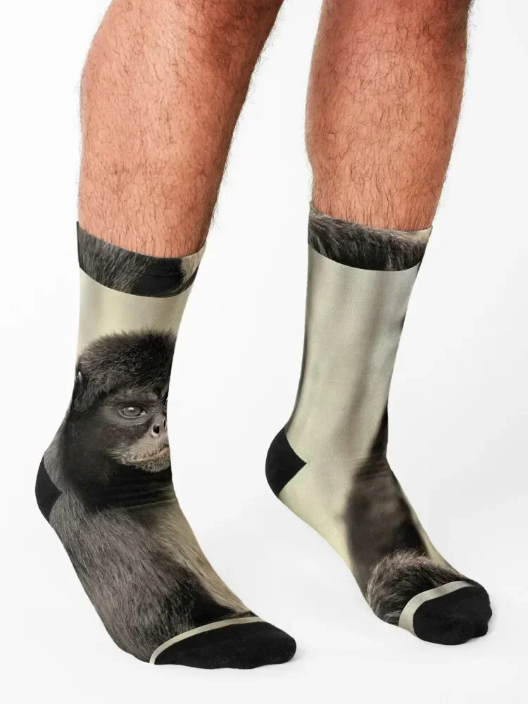 Spider Monkey Socks kids cycling hockey bright garter Men Socks Luxury Brand Women's