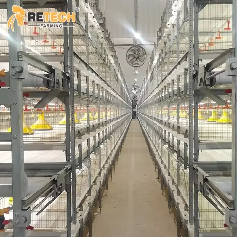 Enclosed Steel Structure Chicken House H Type Broiler Cages Equipment for Ventilation System