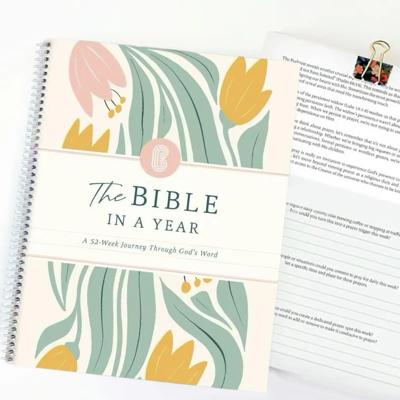 

Руководство по изучению Библии. Руководство по чтению и пониманию. Портативное вдохновление. План учебы Библии на 52 недели. Библия в год.