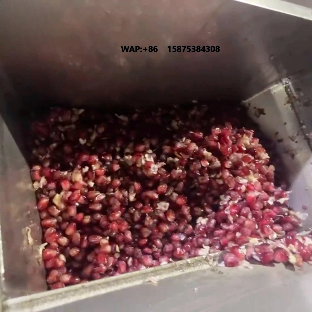 Industrial Fruit & Vegetable Juicer Machine Spiral Type Pomegranate/Pear/Mango/Pineapple Juicer Extractor Juice Crusher