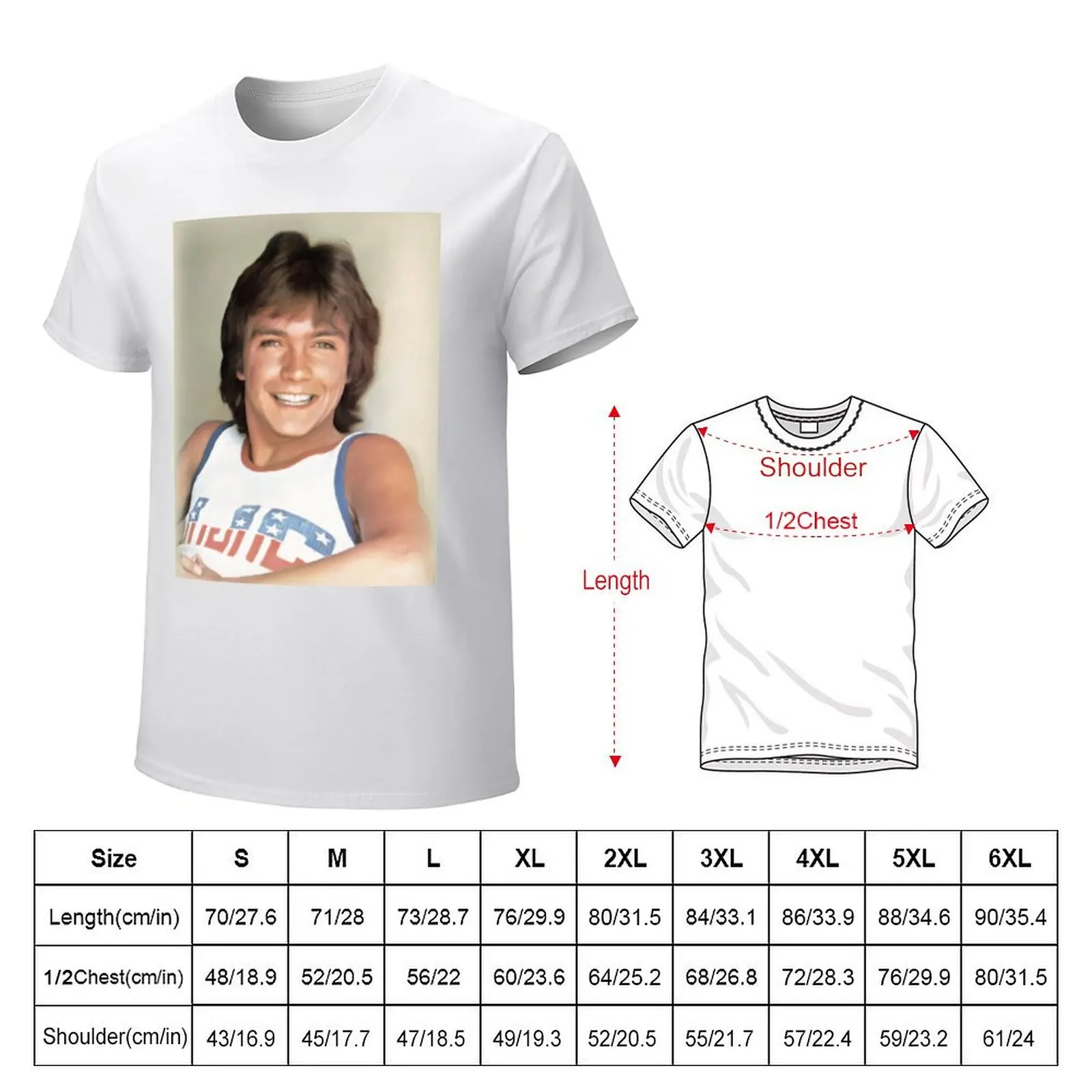 David Cassidy, Singer and Actor T-Shirt sweat plain tops fitted t shirts for men