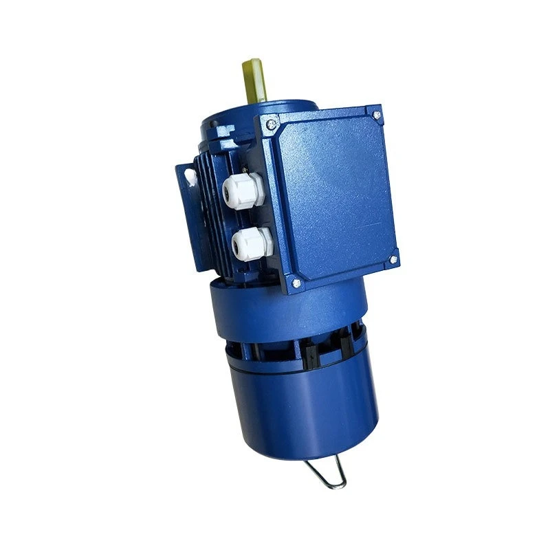 

Three phase asynchronous AC brake motor 0.9~ 220KW encoder variable