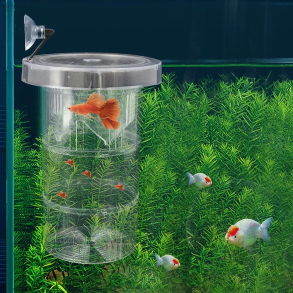 New Detachable Floating Hatching Box Suction Cup Plastic Fish Tank Incubator Semi-transparent Guppy Breeding Box Aquarium