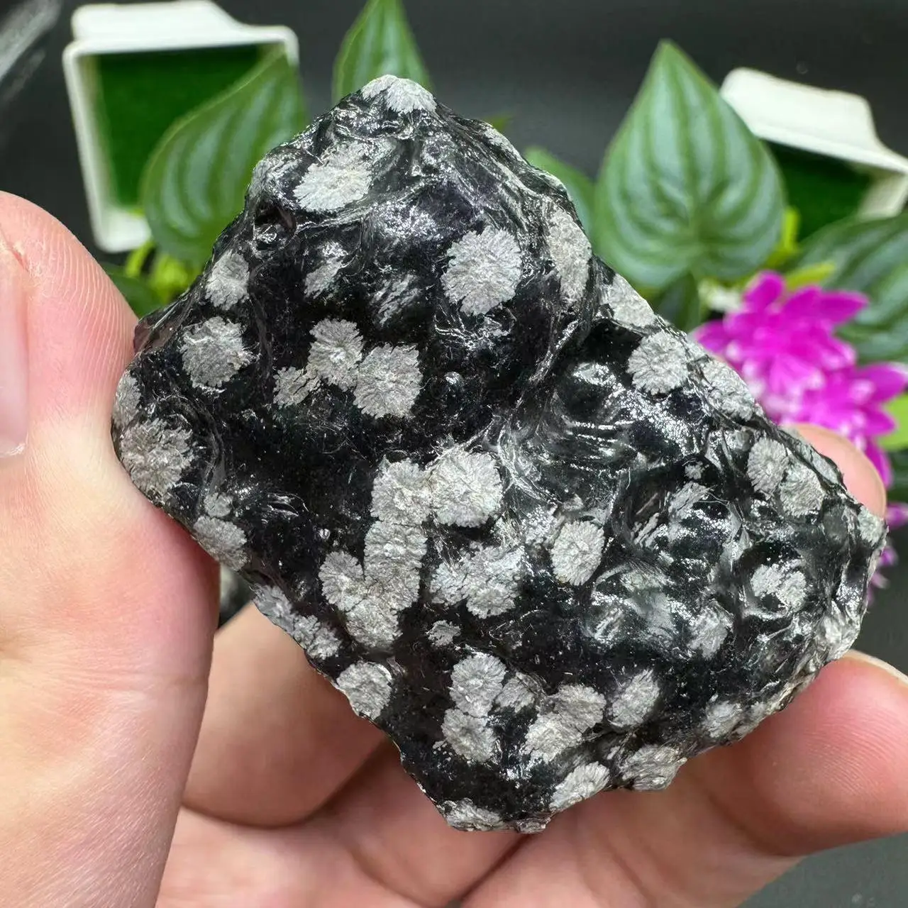 1PC Natural Snowflake Obsidian Raw Stone, DIY Gifts, Stunning Specimens for Mineral Collectors-the Perfect Gift Choice for Lover