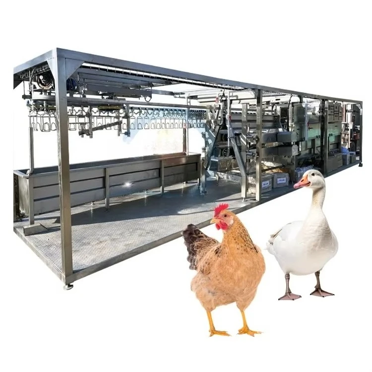 Customized Compact Plucking Machines Chicken Pigeon Quail Deboning Cleaning Machine Goose Rabbit Bird Duck Easy Operation