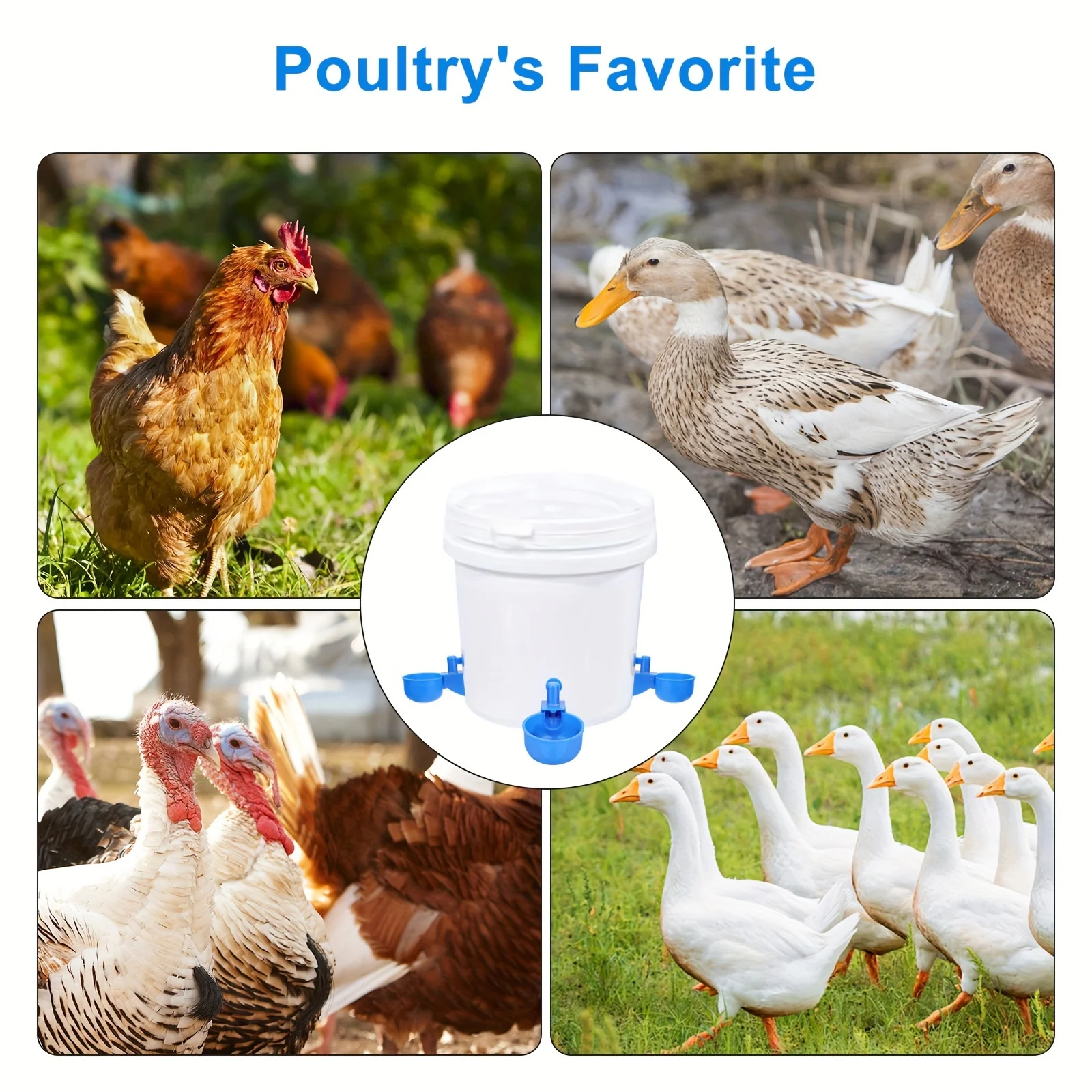2/5Pcs Automatic Poultry Drinker Bowl Chicken Bird Water Cups Duck Drinking Machine Hanging Drinking Bowls Water Dispenser
