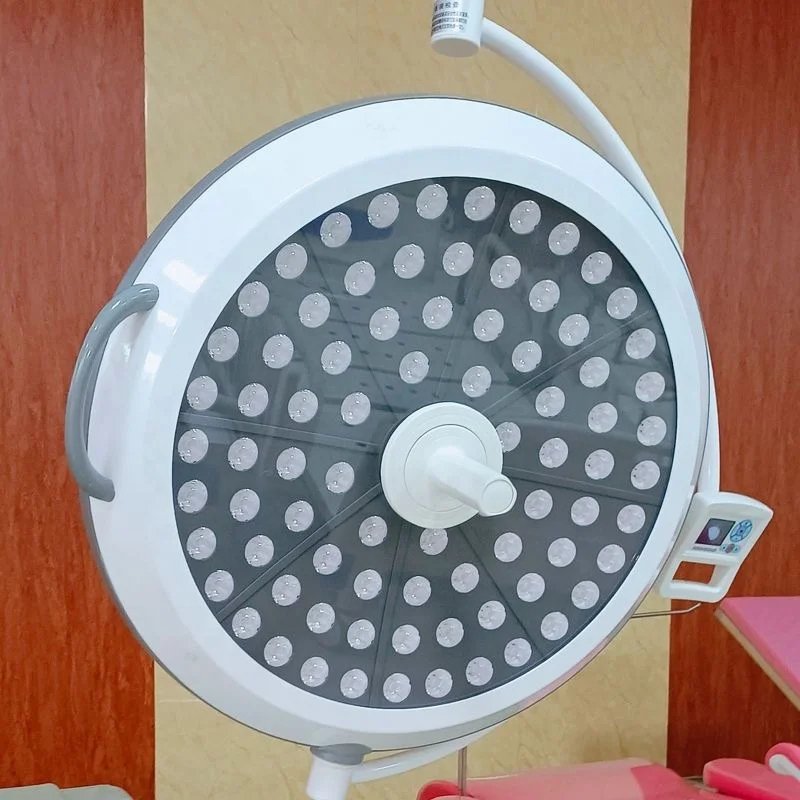 Medical LED Surgical Shadowless Lamp, Pet Room, Dental, Plastic Surgery Ceiling, Mobile Floor-standing Cold Light Source
