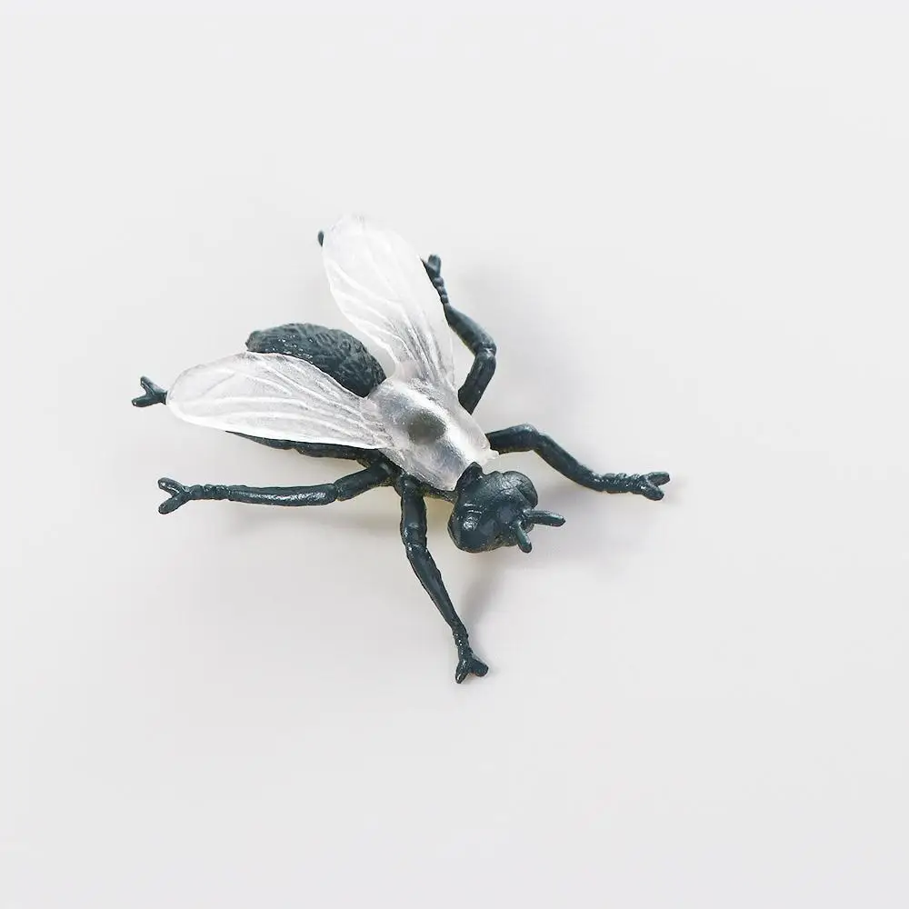 Model Speelgoed PVC Spin Figuren Nep Insect Kever Simulatie Insect Realistisch Insect Beeldje Insect Model Dier Insect Speelgoed