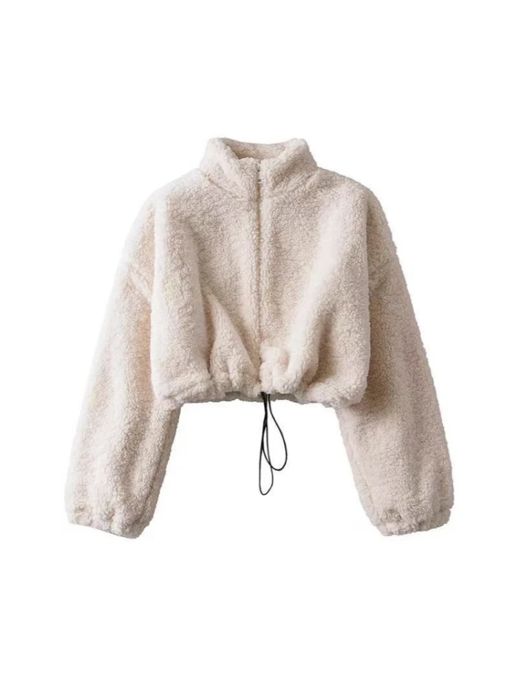 

Short Zipper Faux Lamb Fur Jacket Solid Loose Plush Coat Stand Long Sleeve Furry Overcoat Winter Stylish Women's Fluffy Jackets