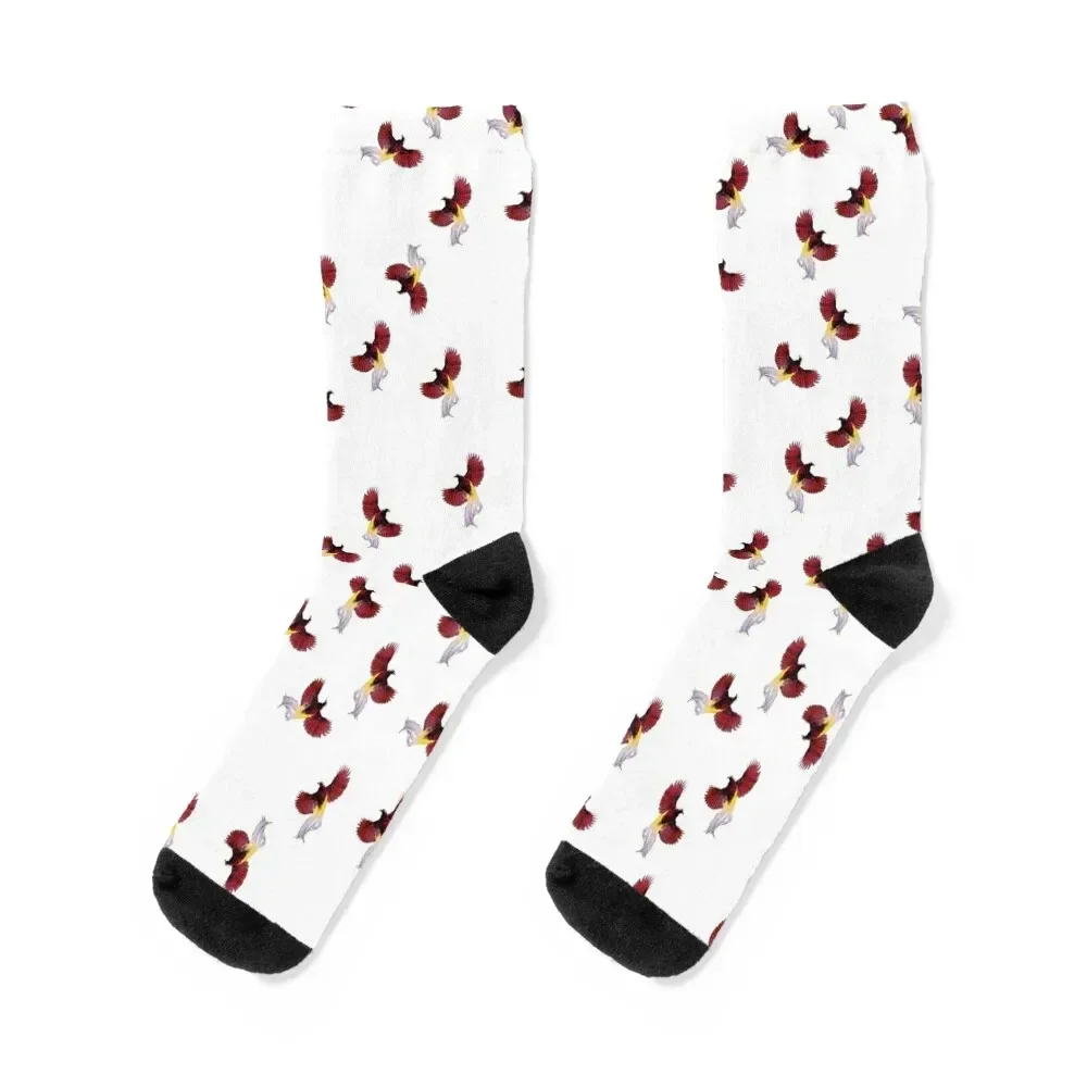 Papua New Guinea Special Red Bird of Paradise Designs and Prints Socks cool valentine gift ideas hockey Socks For Man Women's