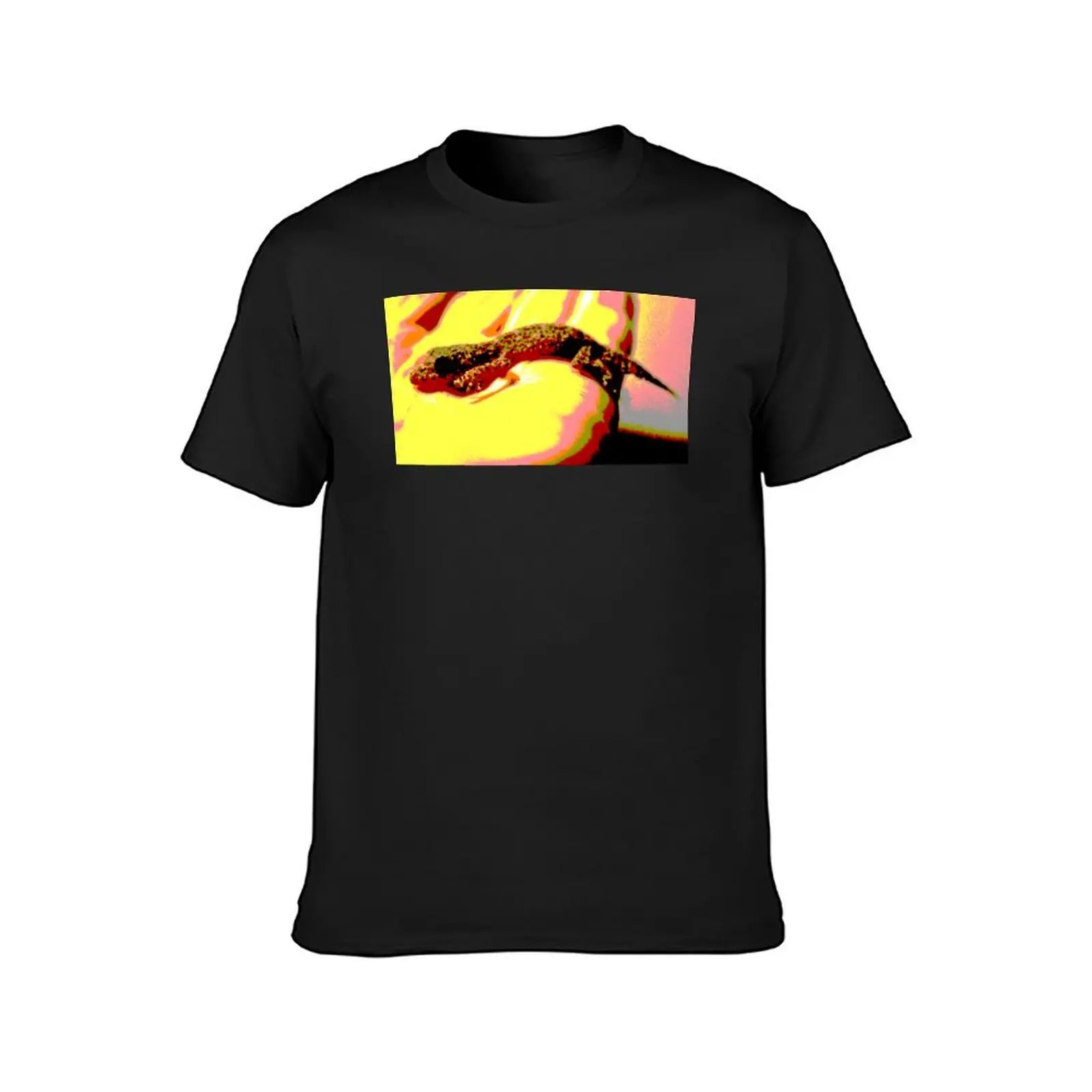 The Broad Tailed Gecko! T-Shirt funnys summer top shirts graphic tees t shirts men