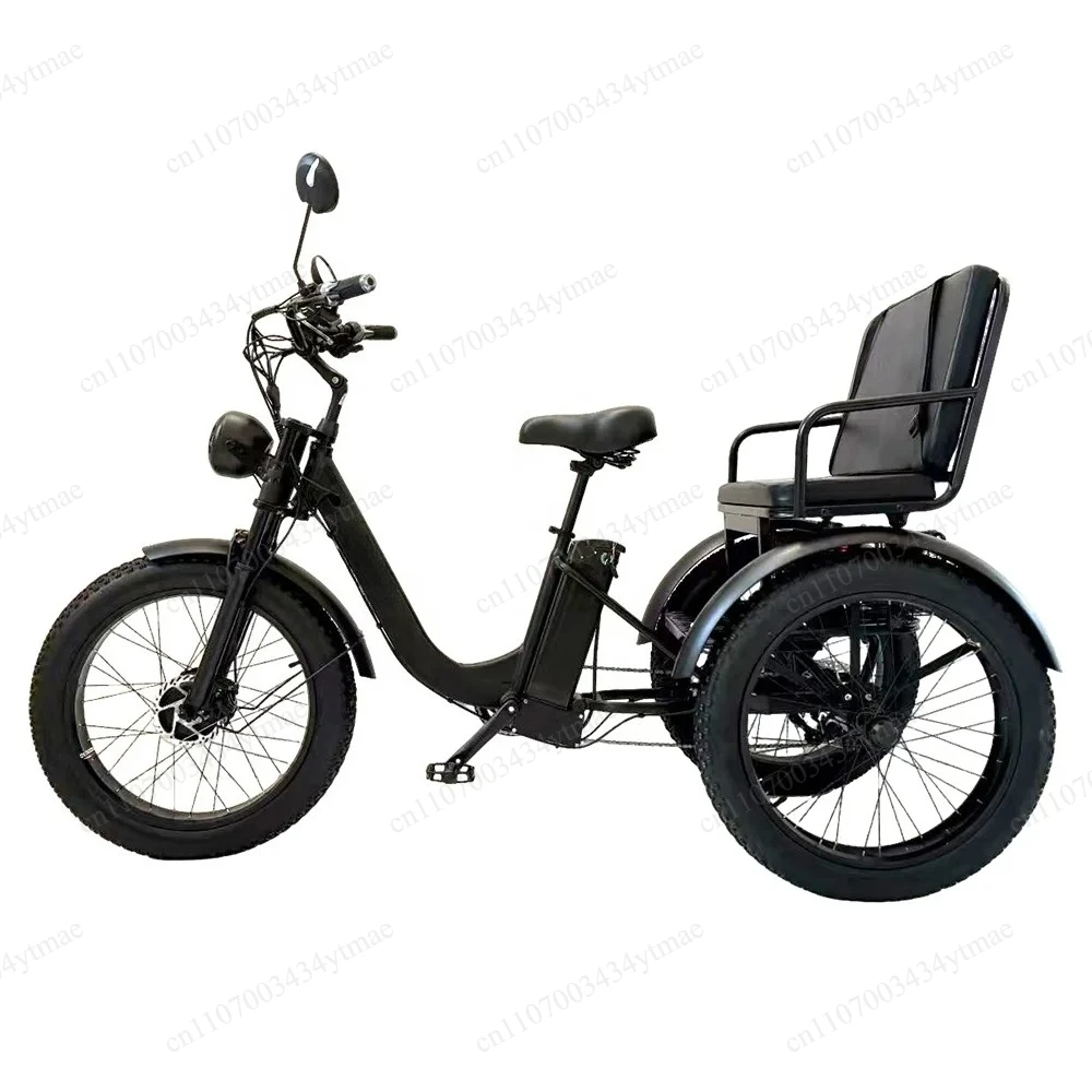 Aluminum Alloy Frame Adult Electric Tricycle 2 Passenger Three Wheel Scooter Dual Use Cargo & Passenger E Trike