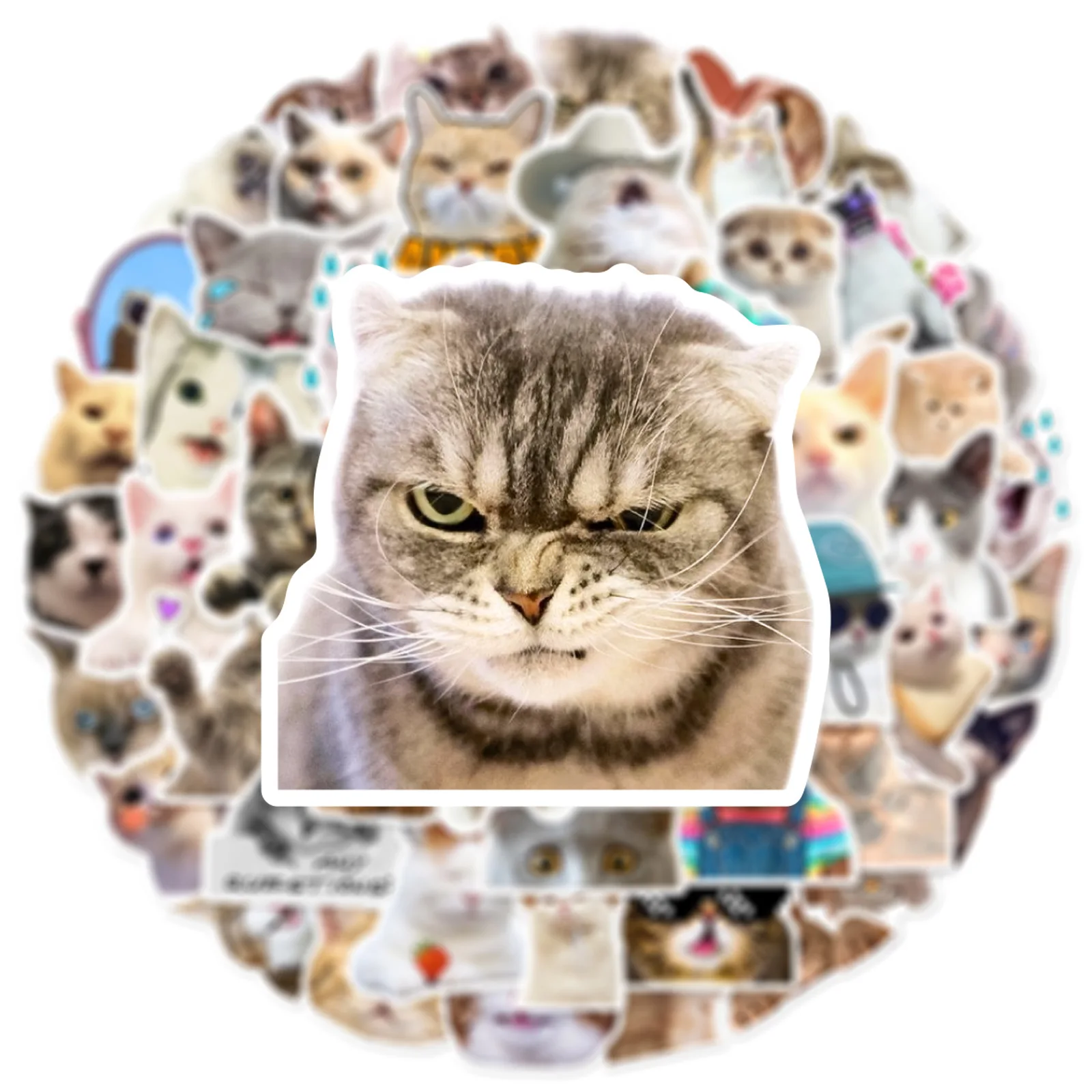 50 Stück schöne lustige Katzen-Aufkleber, Tiere, Graffiti für Telefon, Laptop, Gitarre, Helm, Reisegepäck, Auto, Tasse, DIY, klassisches Kinderspielzeug