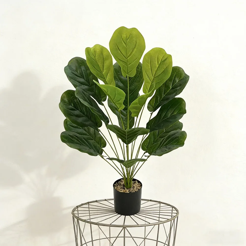 1pc of 75cm Artificial Ficus L - Ficus Lyrata Tree review and price