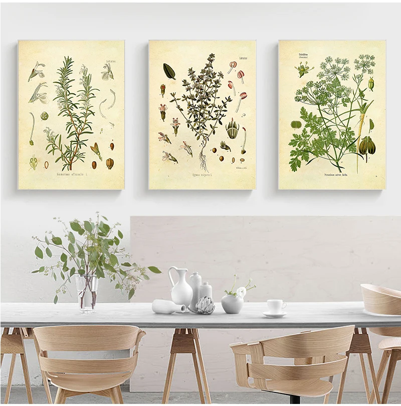 التوابل الأعشاب طباعة Vintage النباتية المشارك البقدونس حكيم إكليل الجبل الزعتر الطهي جدار صورة فنية قماش اللوحة ديكور المطبخ #3