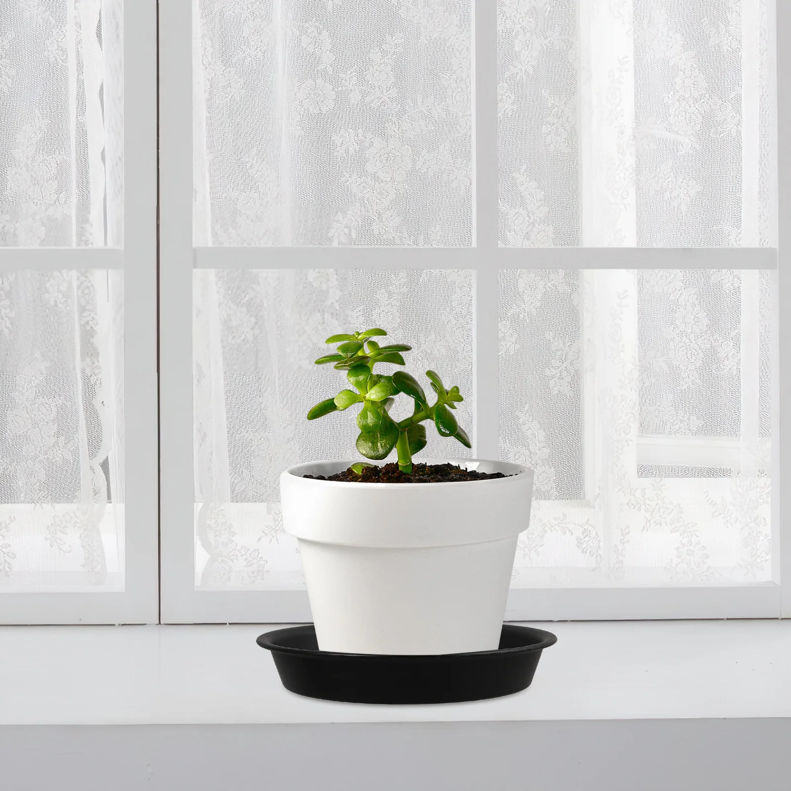 

6pcs Plant Saucers Thickened Pp Heavy Duty Leakproof Drainage Trays For Indoor Outdoor Potted Plants Planter Base Drip Catcher