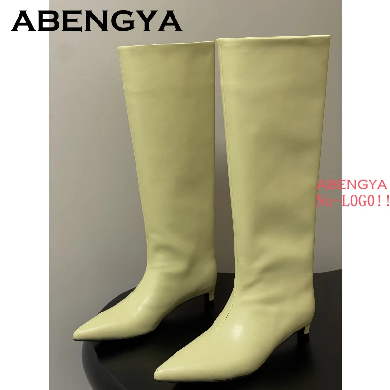 2025 Autumn Winter Kitten Heels Knee-High Boots Women Pointed Toe Real Leather Mid-calf Boots Fashion Knight Long Botas Mujer view 3