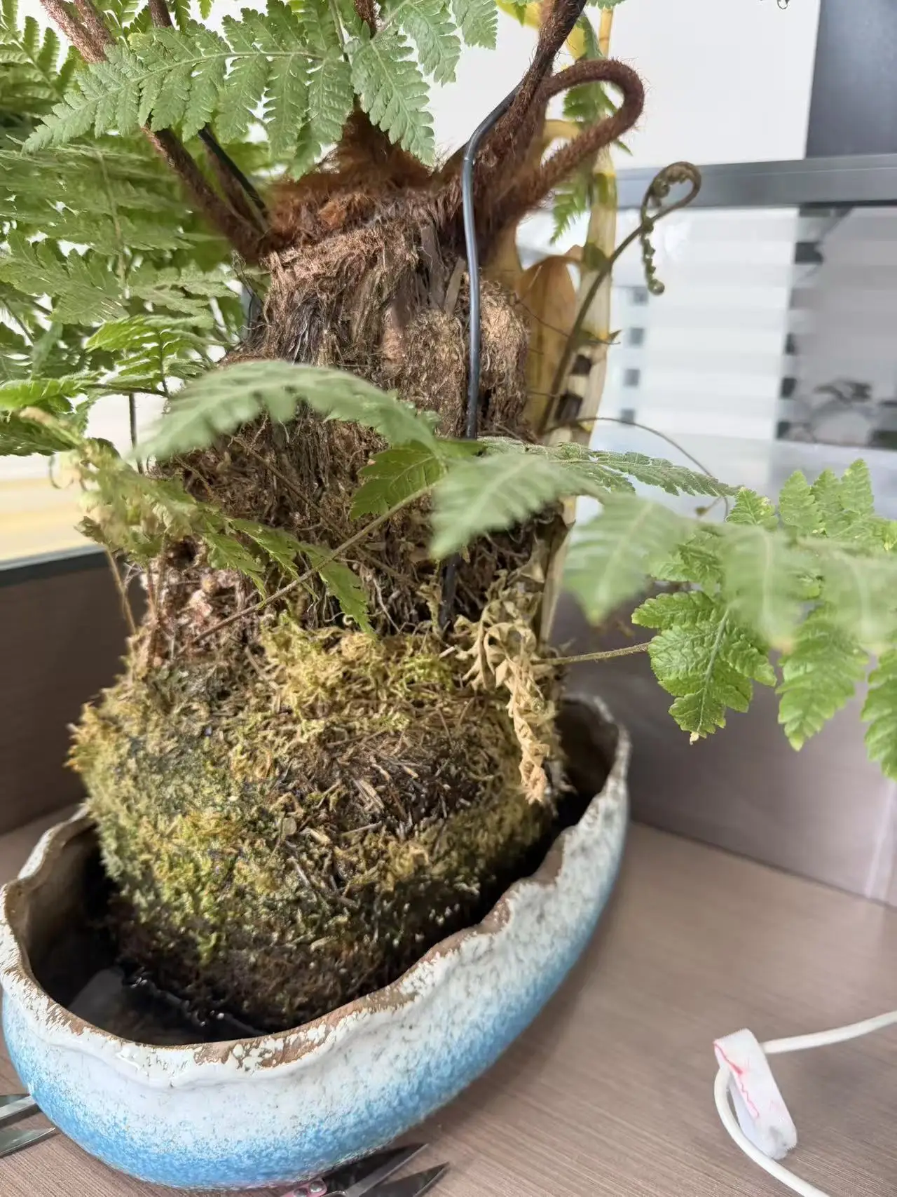 

Свадебное платье в пол с цветочным кружевом и мерцающими жемчужинами, индивидуального пошива, роскошное, с вырезом в форме сердца, для невесты.