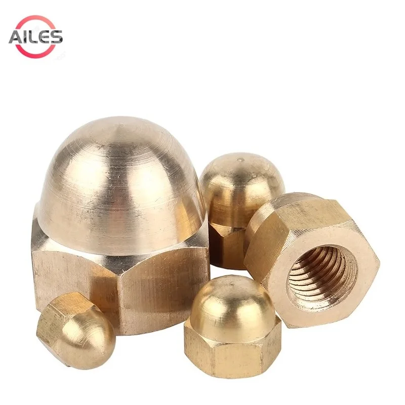 

Copper Hex Cap Nuts M3 M4 M5 M6 M8 M10 M12 M14 M16 M18 M20 M22 M24 Copper Dome Cap Acorn Mut Metric Blind Nut
