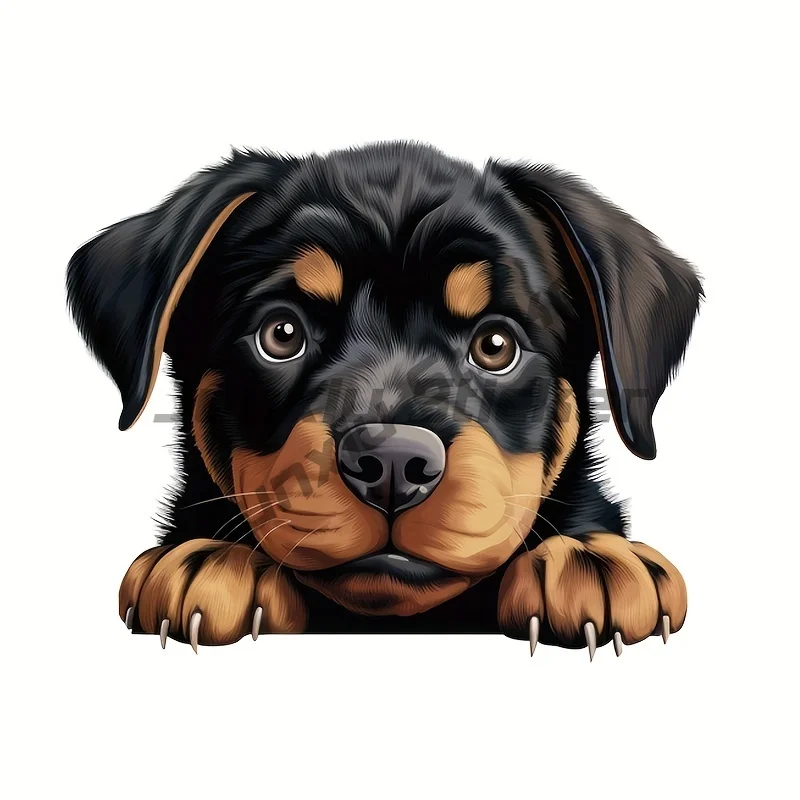 Rottweiler Car Bumper Window Stickers for Car Truck Van Fashion Decals Vinyl Material Creative Stickers
