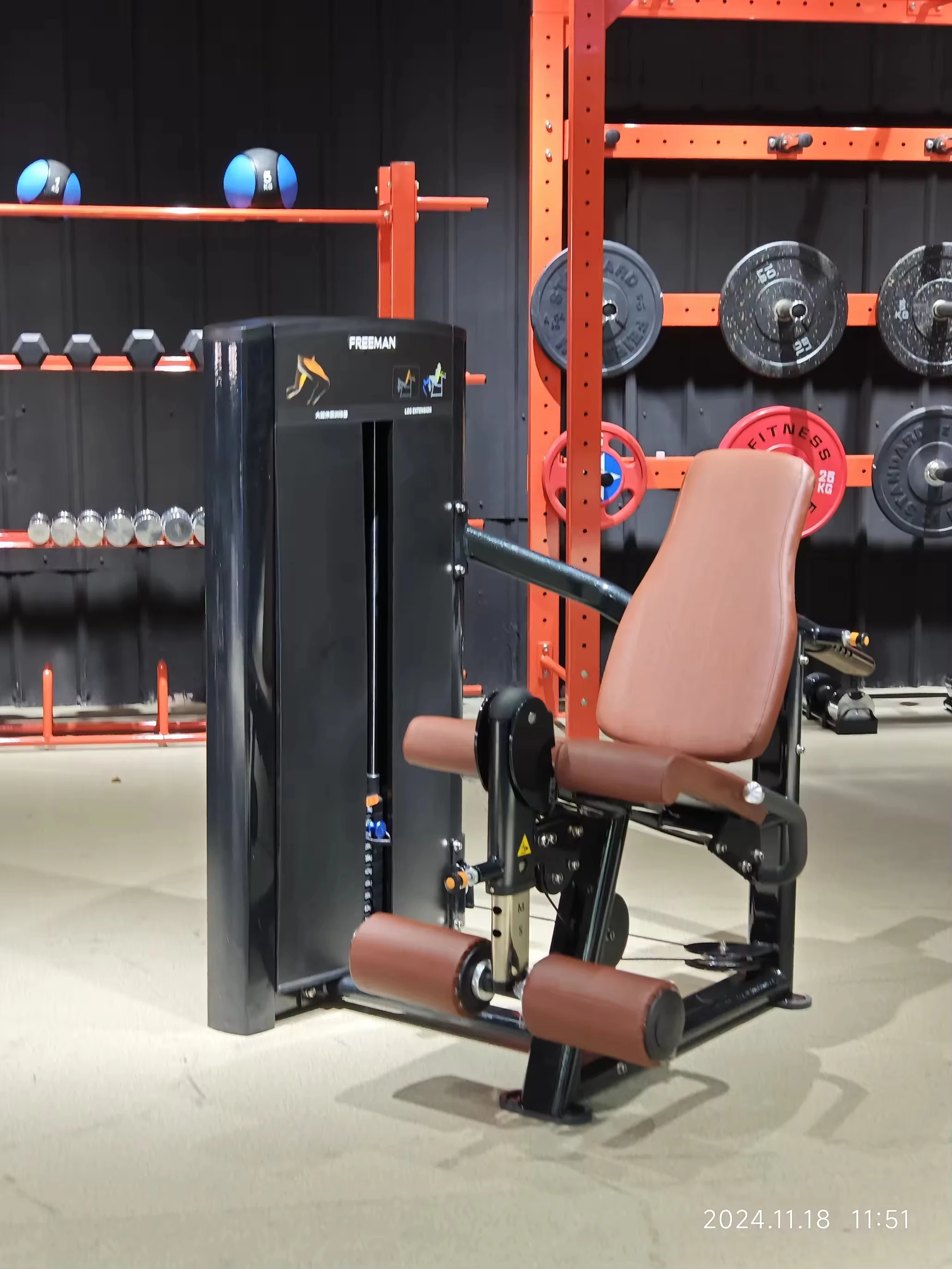 Commercial Steel Adjustable Pin Loaded Machine Strength Training Dual Function Leg Extension/Prone Leg Curl Machinepromote sales