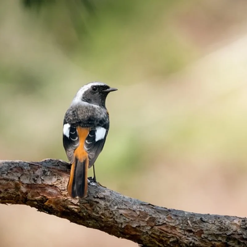 

MN128 MN86 G500 remote control car spare parts, metal upgrade, front and rear axles, differential assembly