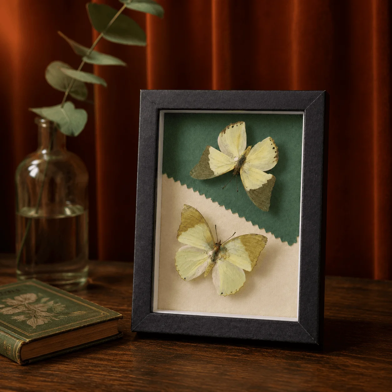 Handmade Framed 2 African Green Charaxes Butterfly, Dual Fabric Lined 5 Inch Shadow?Box Display, Boho?Vintage Nature Decor
