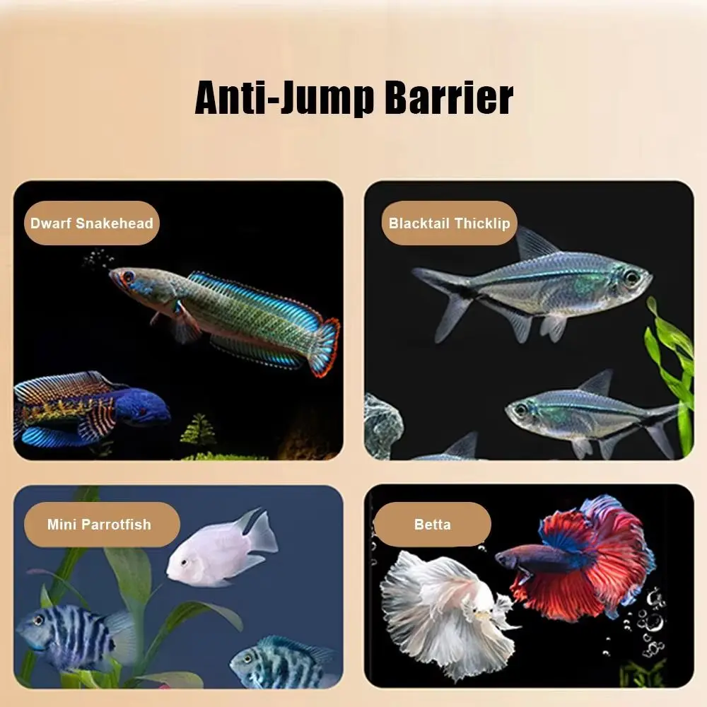 Thumbnail 2 - #19 Latest Aquarium Fish Nets Offers