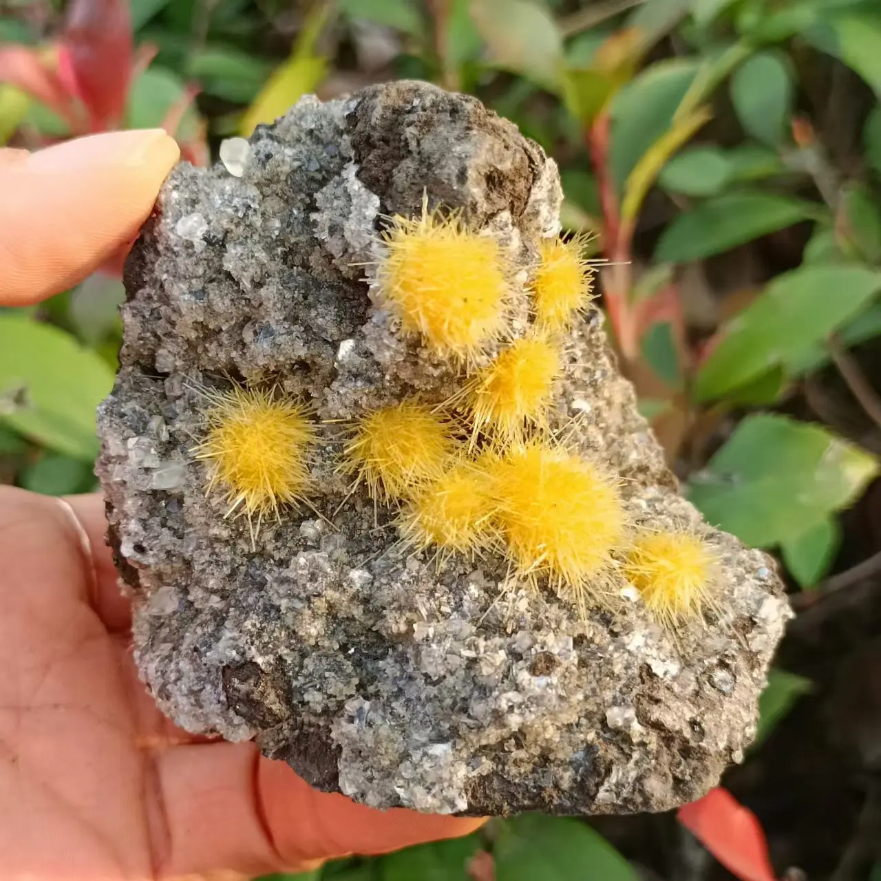 Natural zeolite symbiotic yellow crystal cluster, yellow crystal symbiotic cluster, mineral Reiki healing stone, energy demagnet