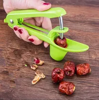Cherry Pitter Tool Stainless Steel Cherry Corer Core Seed Remover Cherry Pip Remover Olive Grapes Jujubes Pitter Tool Fruit Tool