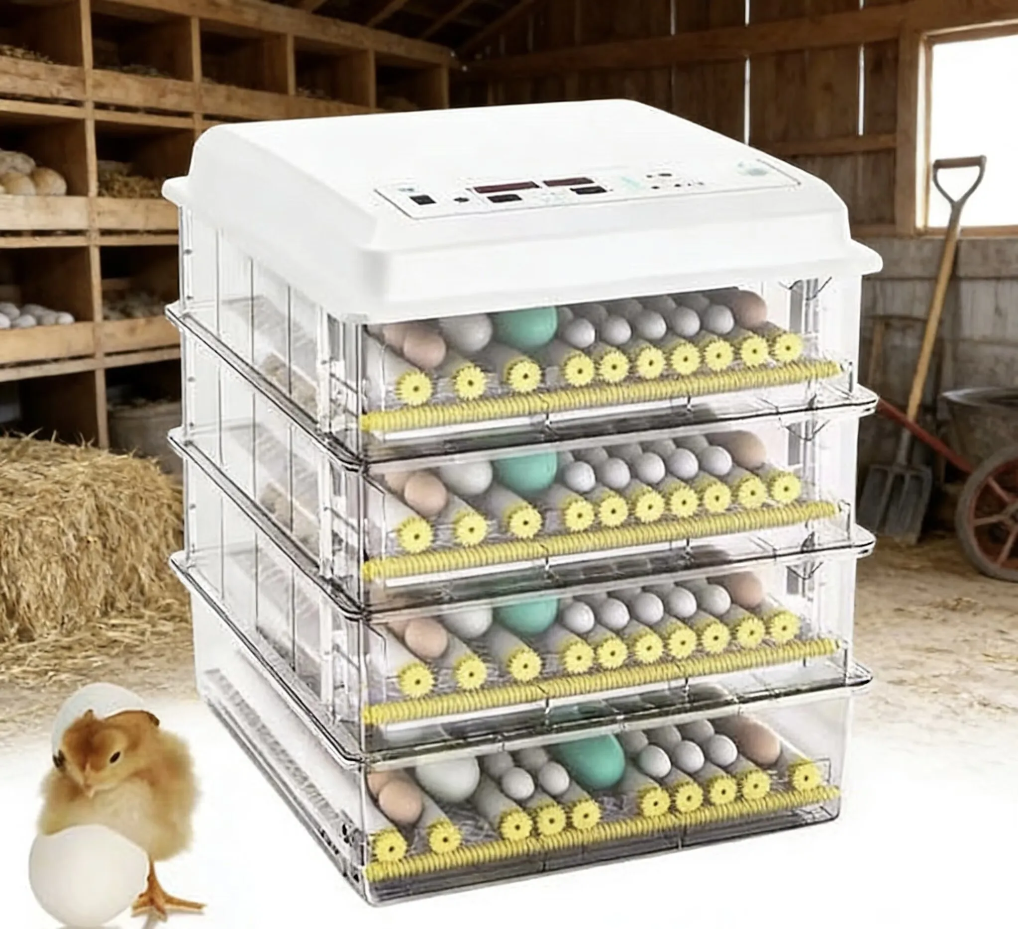 

Industrial Automatic High 200/210 Eggs Solar Hatching Machine Bird Chicken Duck Quail Ostrich Poultry 70-98% Hatching Rate