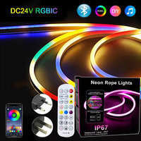 Rgbic Neon Led Strip Light Dc 24V Bluetooth 5M 10M 20/15 Meter Neon Led Rope Light Outdoor Waterproof Led Band Ribbon Room Decor