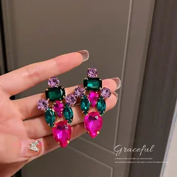925 Silver Needle European and American exaggerated earrings