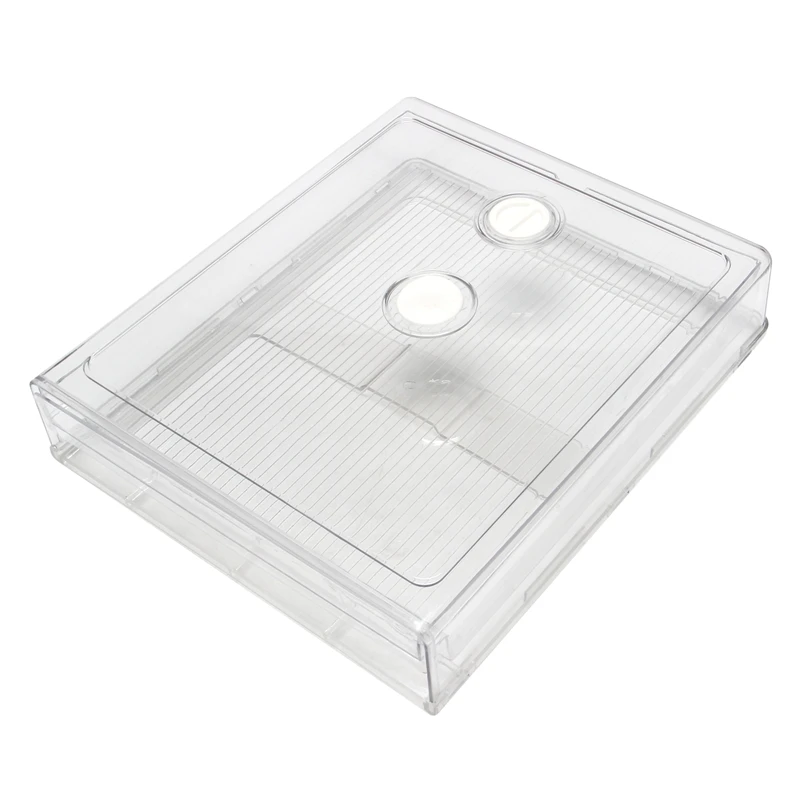 

Refrigerator Dumplings Box Tray With Lid Stackable Timekeeping Freeze Storage Box Food Fresh Organizer Container