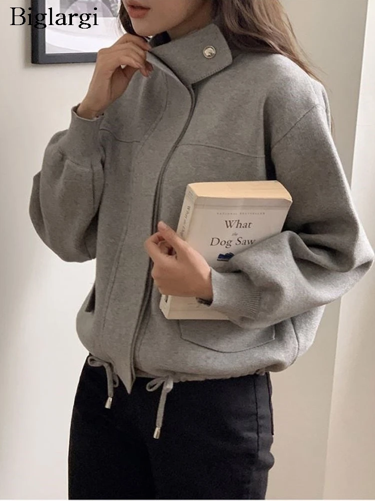 

Knitted Autumn Turtleneck Cardigan Women Korean Style Loose Pleated Ladies Copped Cardigans Fashion Casual Woman Sweater Coats