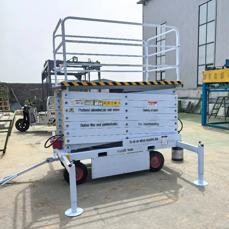 6M 8M 10M 12M Self … - image