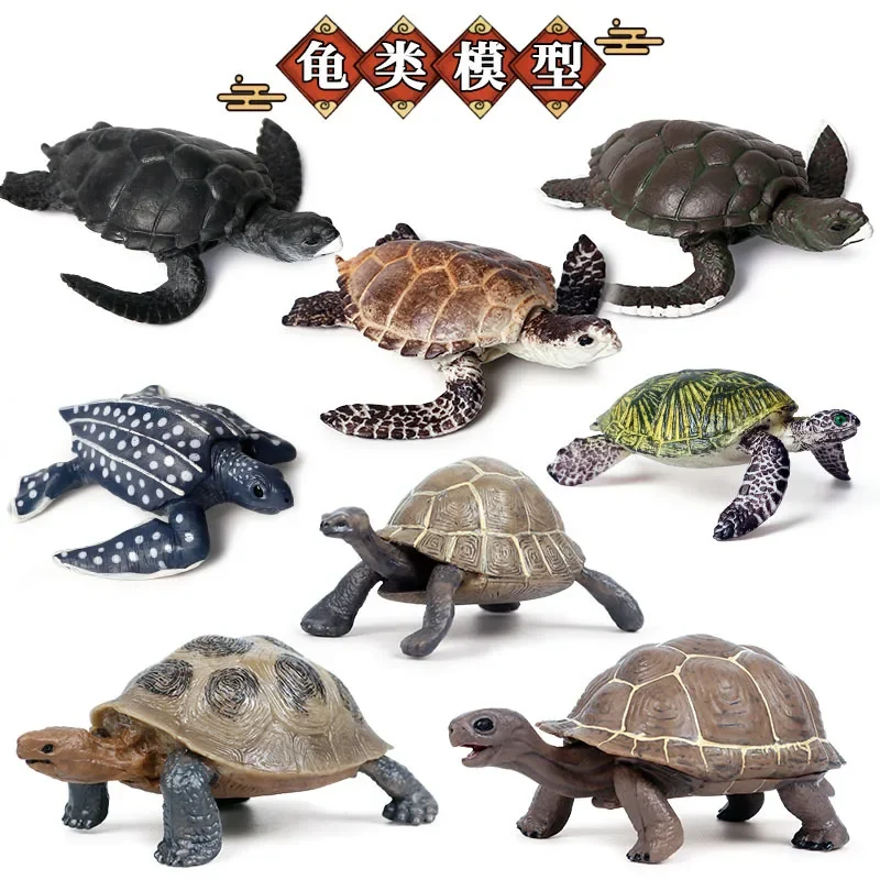 Figurines d'action d'animaux marins pour enfants, tortue à oreilles coulissantes, figurine d'amphibiens, modèle Auckland, roman, jouets en plastique, cadeau d'ornement