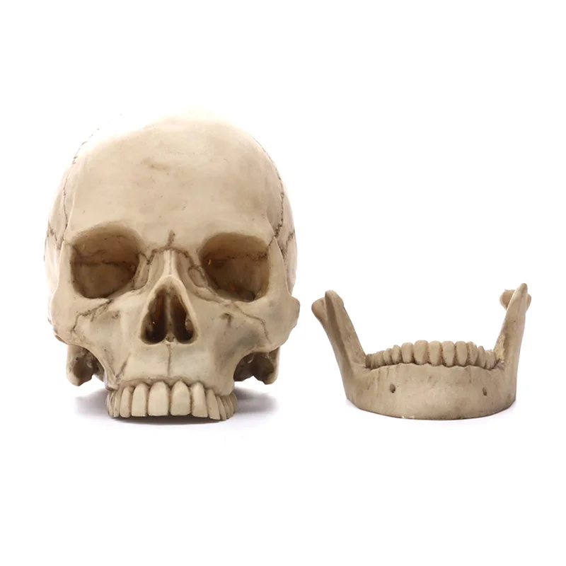 Human Skull Statue for Home Decor Resin Figurines Halloween Decor Sculpture Medical Teaching Sketch Model Crafts