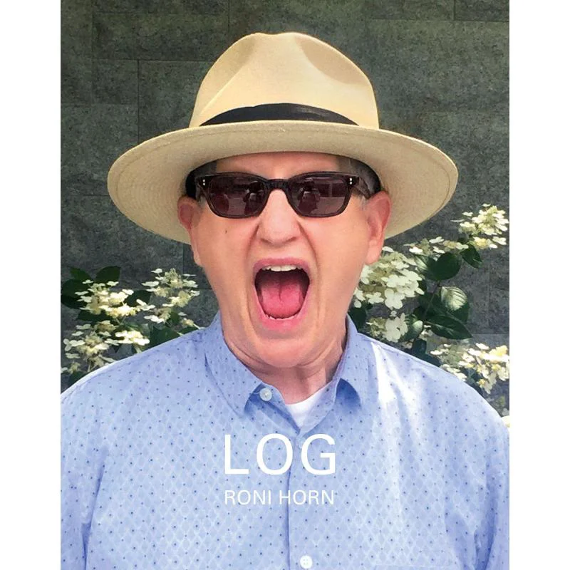 

ЛОГОТИП Roni Horn 22 марта 2019 мая 17 2020 Roni Horn Steidl 9783969990414 Книга