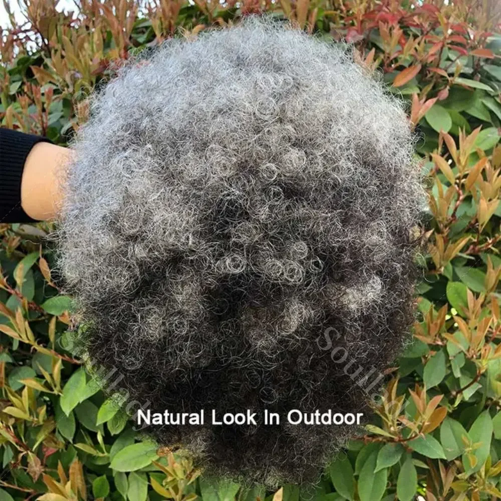 LULUCHIC Beginner Friendly Wear To Go Wigs Salt And Pepper Short Afro 4C Kinky Curly Human Hair Glueless Wig For Women Glueless