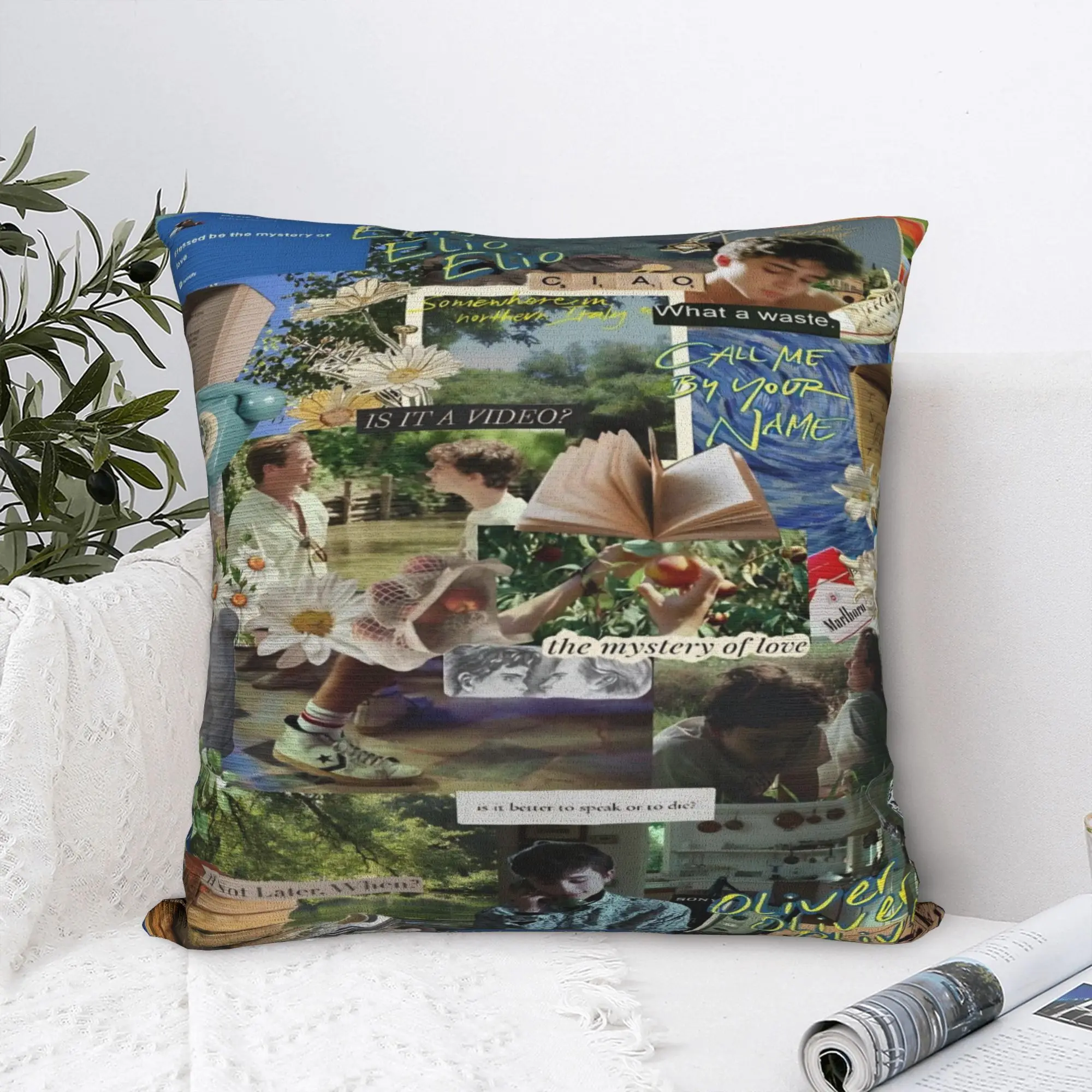 Car Decor Call Me by Your Name Pillowcases Merch  Pillow Cover Zippered Multiple Sizes