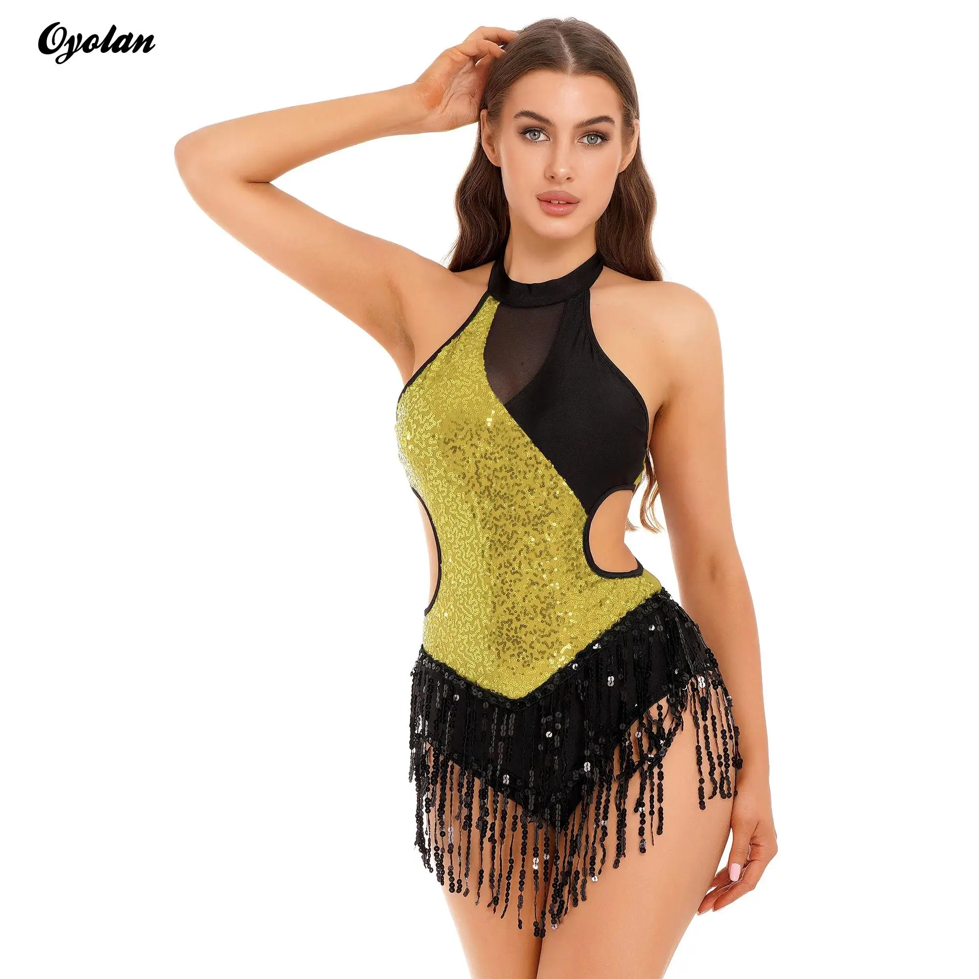 

Womens Shiny Rhinestone Tassel Skirted Leotard Bodysuit Fringed Gymnastics Cha-Cha Ballet Latin Dance Performance Costume