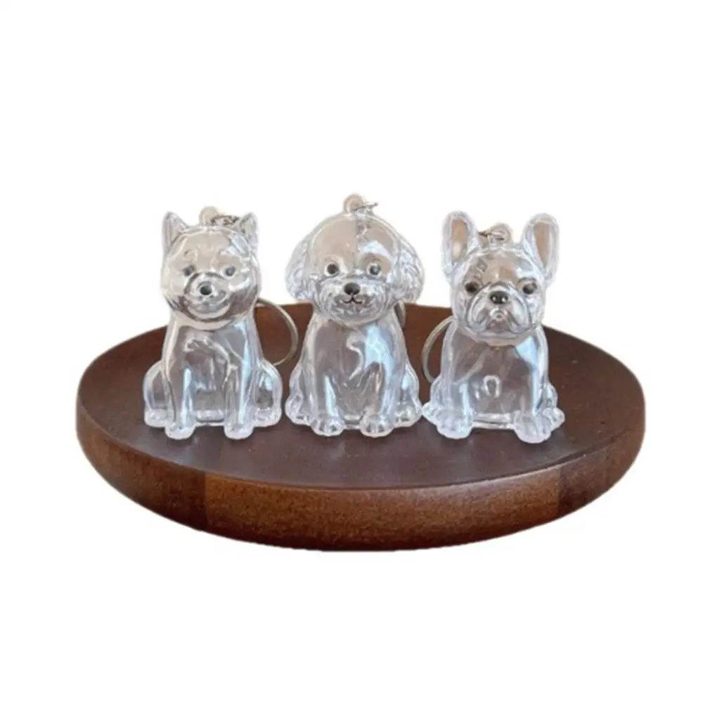 تخزين شعر الحيوانات الأليفة هدية عيد ميلاد الكلب الفراء تخزين قلادة Bichon شكل المفاتيح الإبداعية شفافة لطيف المحمولة الحلي #5