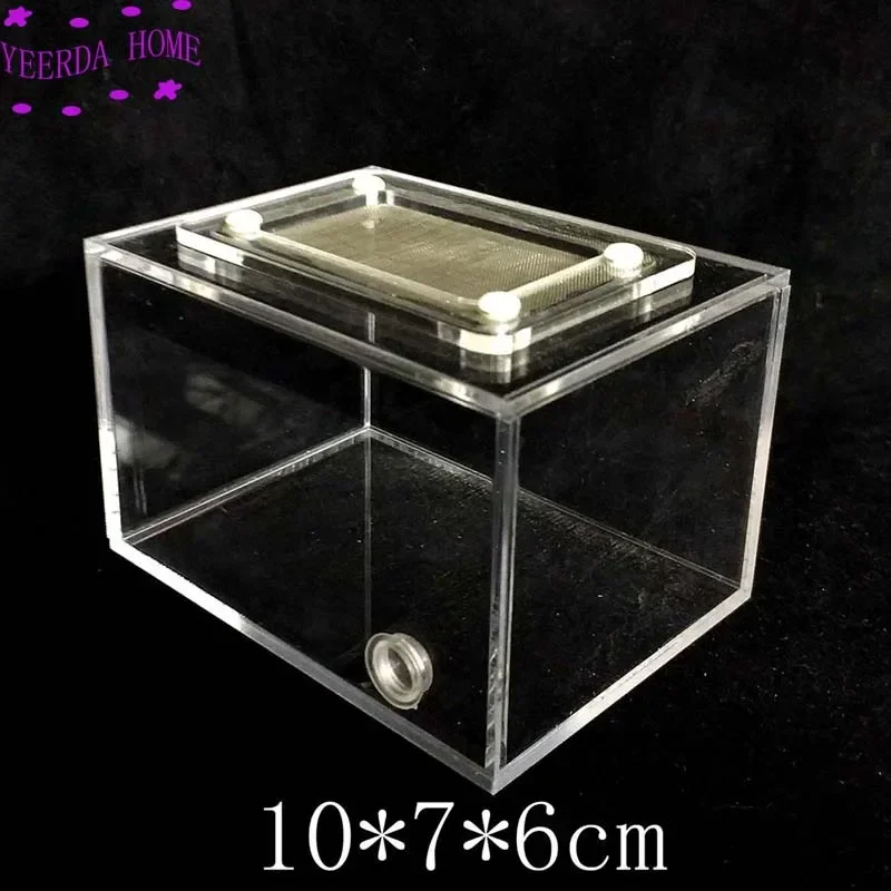 Compact Micro-Habitat and Colony Observation Box - 10x7x6cm 3